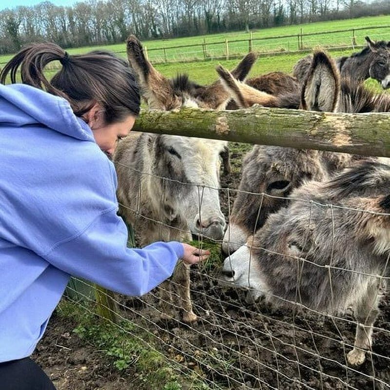 An employer-supported volunteer helps out at a donkey sanctuary.