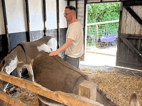 An Ultimate Finance employee helps out at a donkey sanctuary.